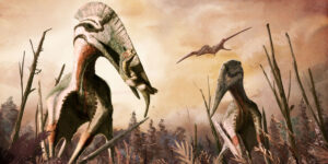 কোটি কোটি বছর আগে আফ্রিকায় উড়ে বেড়াত এই দৈত্যাকার পাখিরা