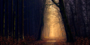 বিশ্বের পাঁচটি আশ্চর্যজনক স্থান, জানুন কোন অজানা রহস্য লুকিয়ে রয়েছে সেখানে