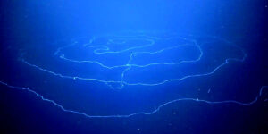 ভারত মহাসাগরে সুতোর মতো এটা কী? উঠে আসলো চাঞ্চল্যকর তথ্য