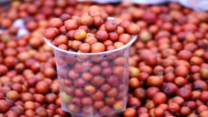বসন্তে কেন খাবেন কুল